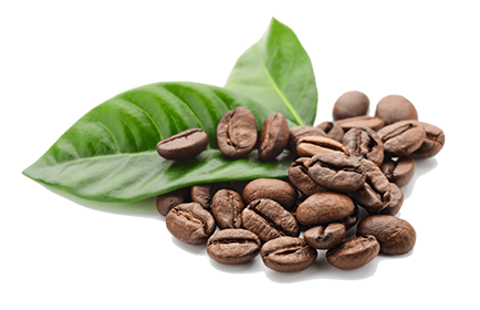 Natural Caffeine Anhydrous